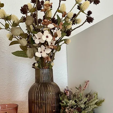 - T2 4 Pers. - Balcon & Parking - Fr-1-758-41 Διαμέρισμα Les Angles (Pyrenees-Orientales)